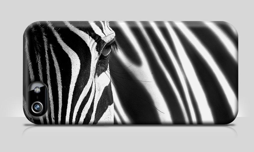 Animal Stripes