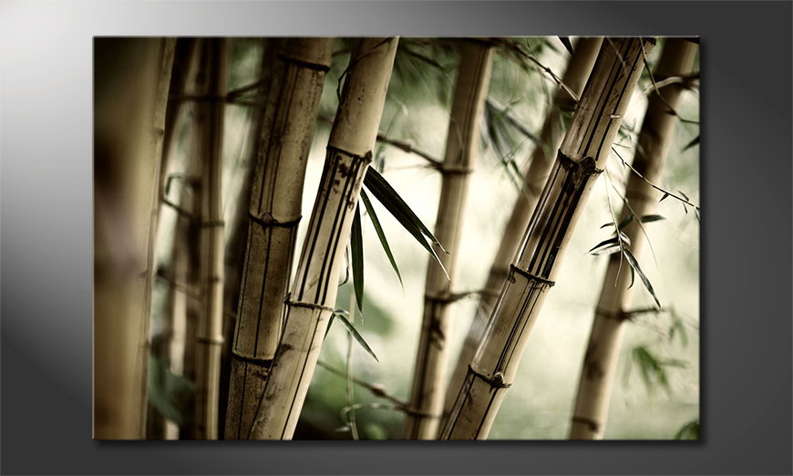 Art-print-Bamboo-Forest-60x40-cm