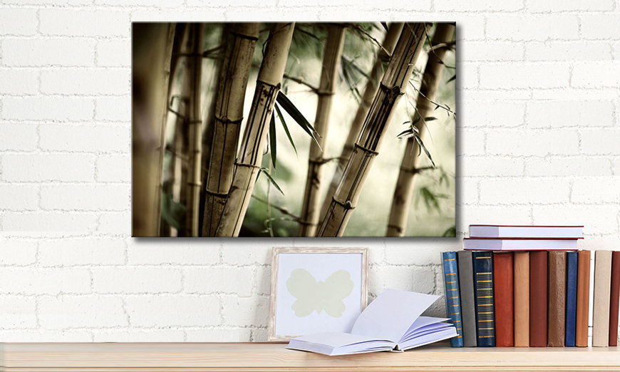 Art print Bamboo Forest 60x40 cm
