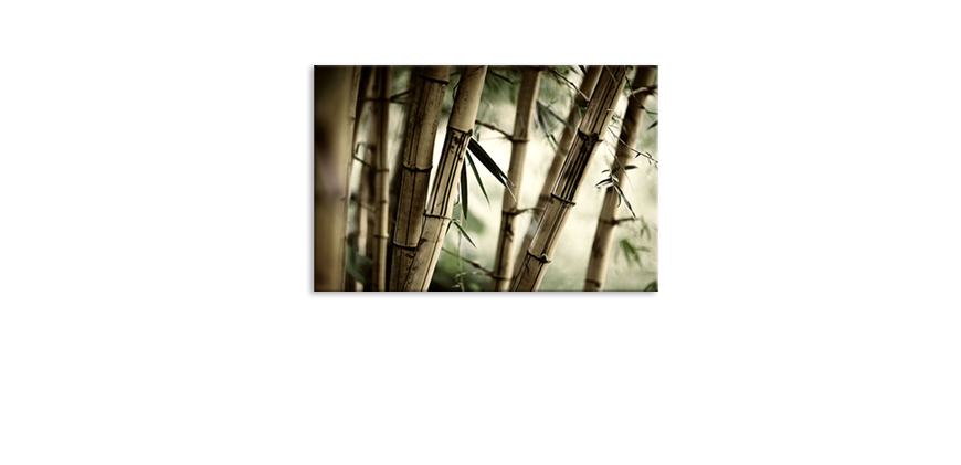 Art-print-Bamboo-Forest-60x40-cm