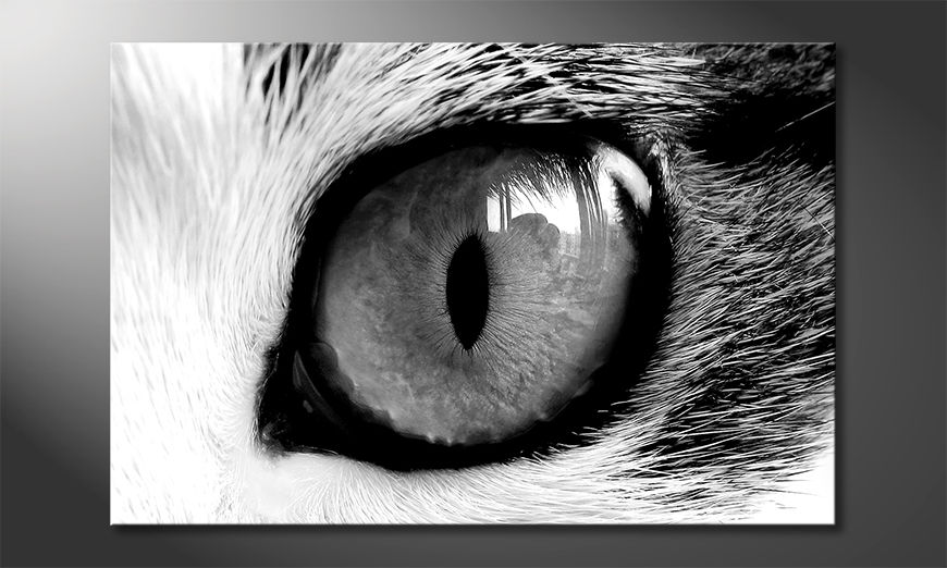Art-print-Cats-Eye