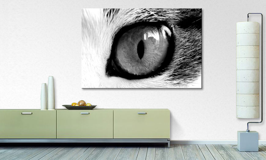 Art print Cats Eye