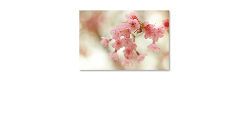 Art-print-Cherry-Blossoms