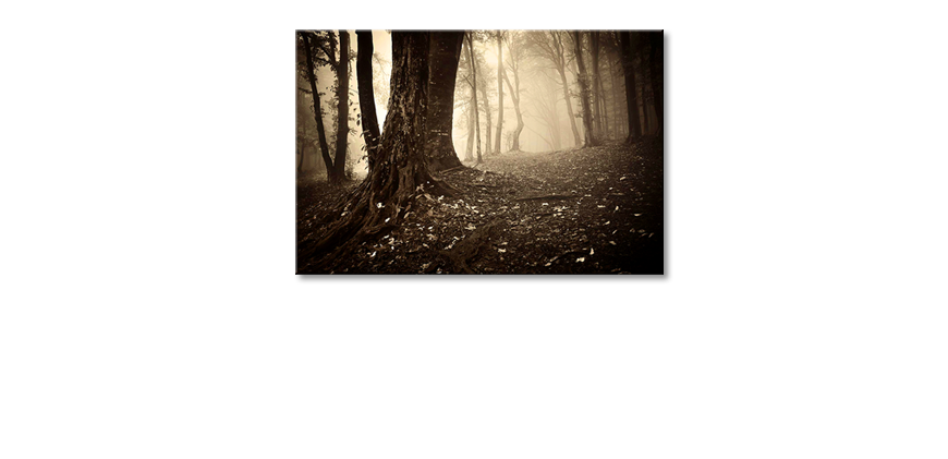 Art-print-Enchanted-Forest