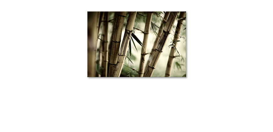 Canvas-Bamboo-Forest