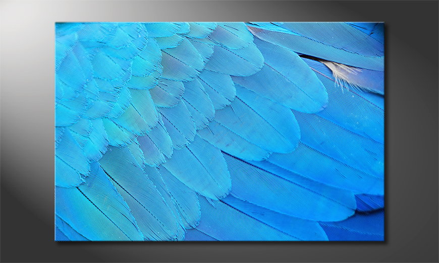 Canvas-Bird-Feathers