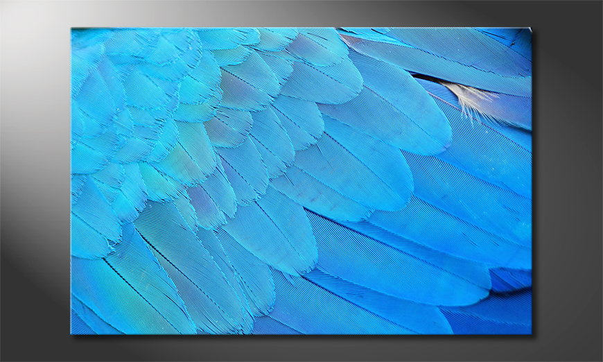 Canvas Bird Feathers