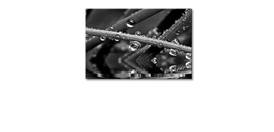 Canvas-art-print-Water-Drops