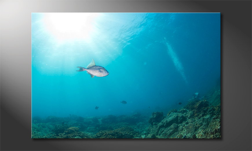 Canvas-print-Colorful-Reef