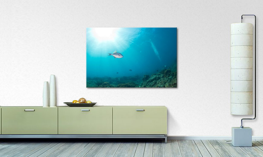 Canvas print Colorful Reef