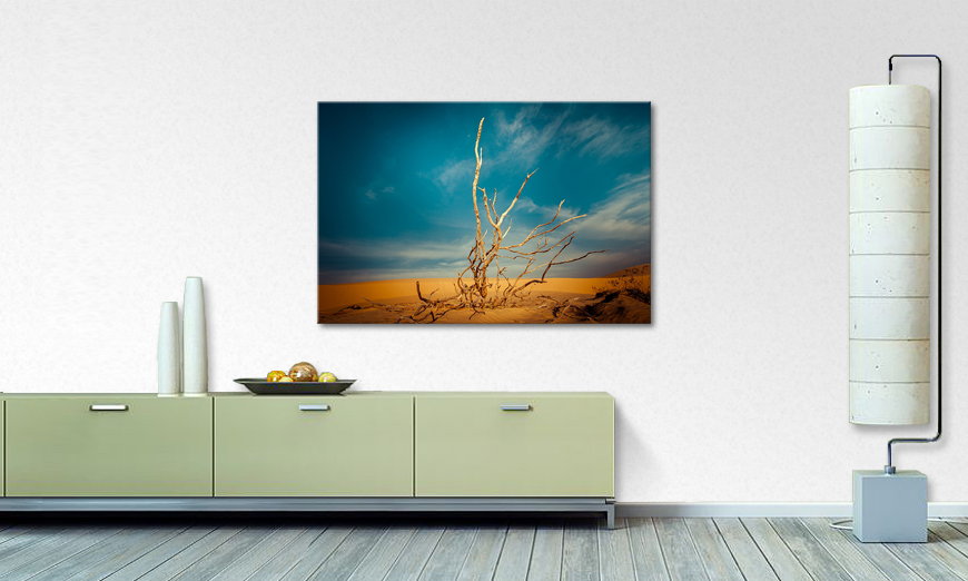 Canvas print Desert Landscape