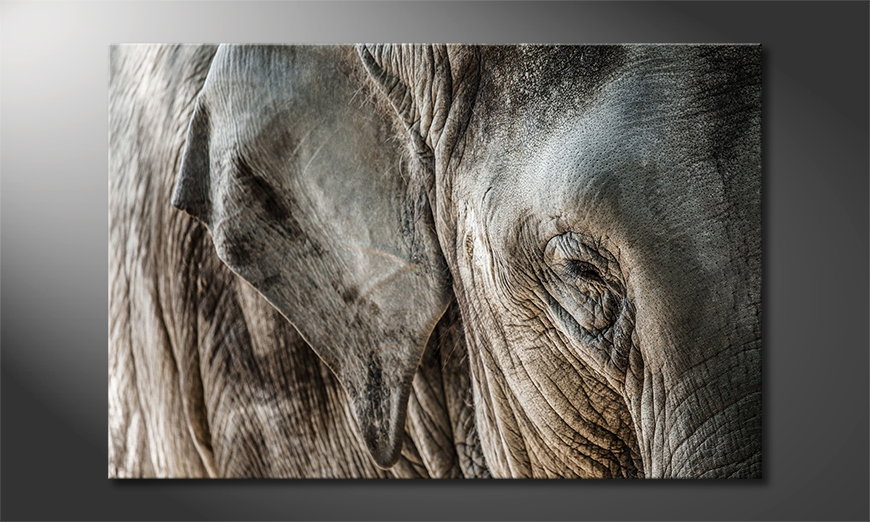 Canvas-print-Eye-of-Elephant