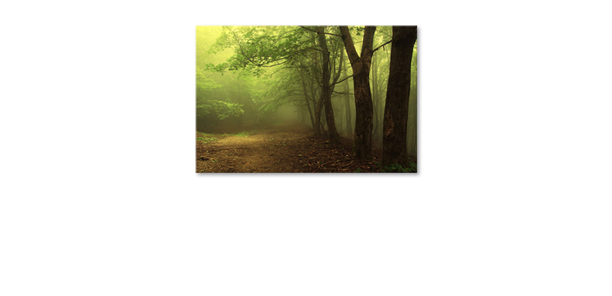 Canvas-print-Green-Forest