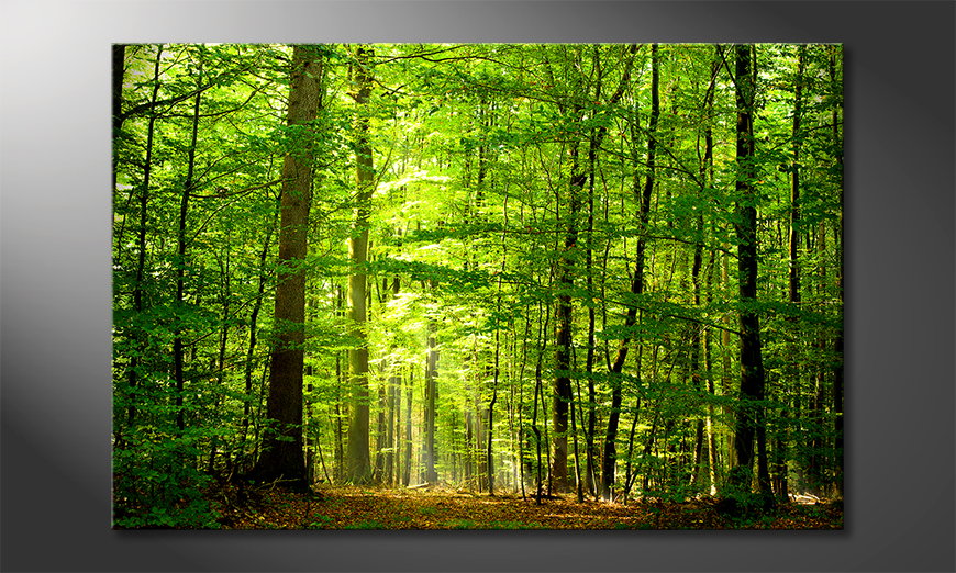 Canvas-print-Into-the-Forest