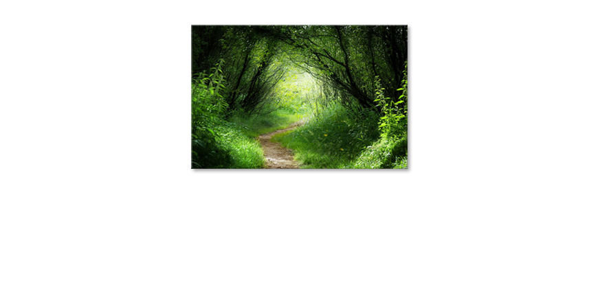 Canvas-print-Way-into-the-Forest