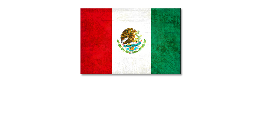 Flag-on-canvas-Mexico