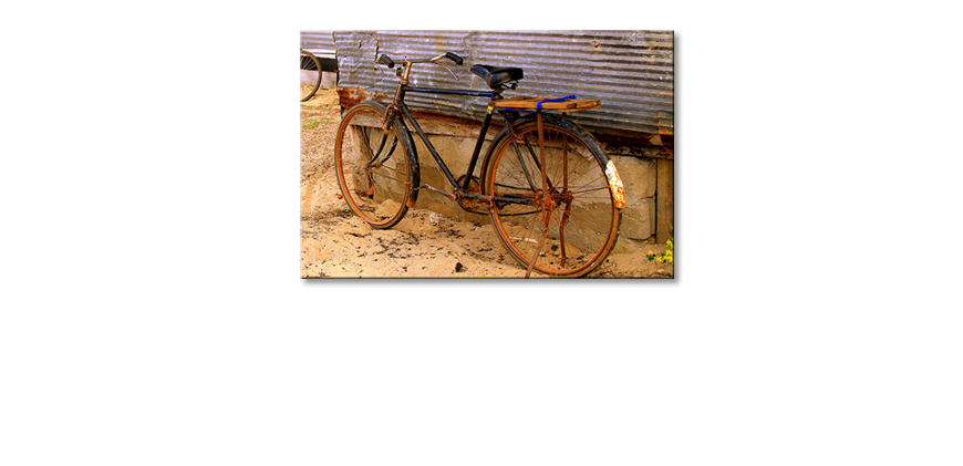 Harry-Refpo-s-art-print-Old-Bicycle