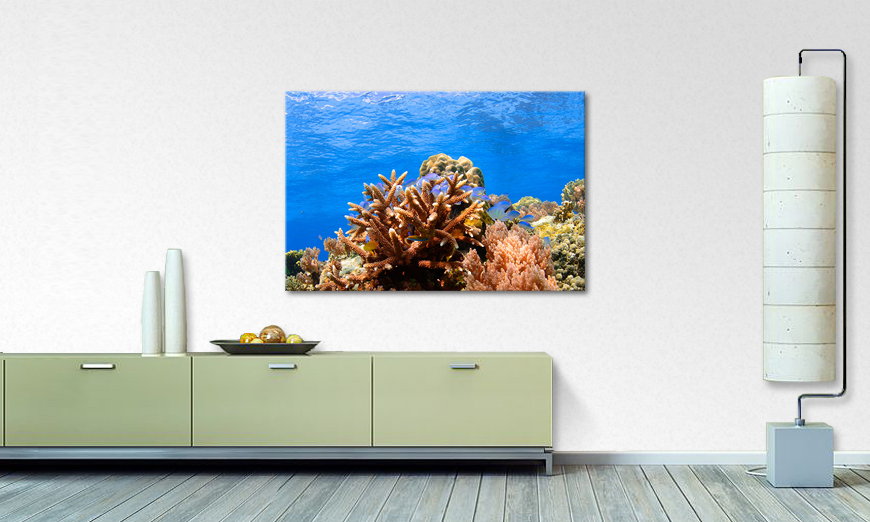 Modern art print Corals Reef