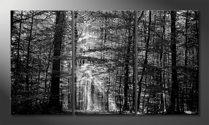 Modern-canvas-print-Into-the-Forest-180x100-cm