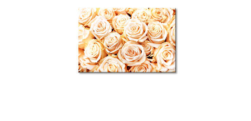 Modern-print-Creamy-Roses