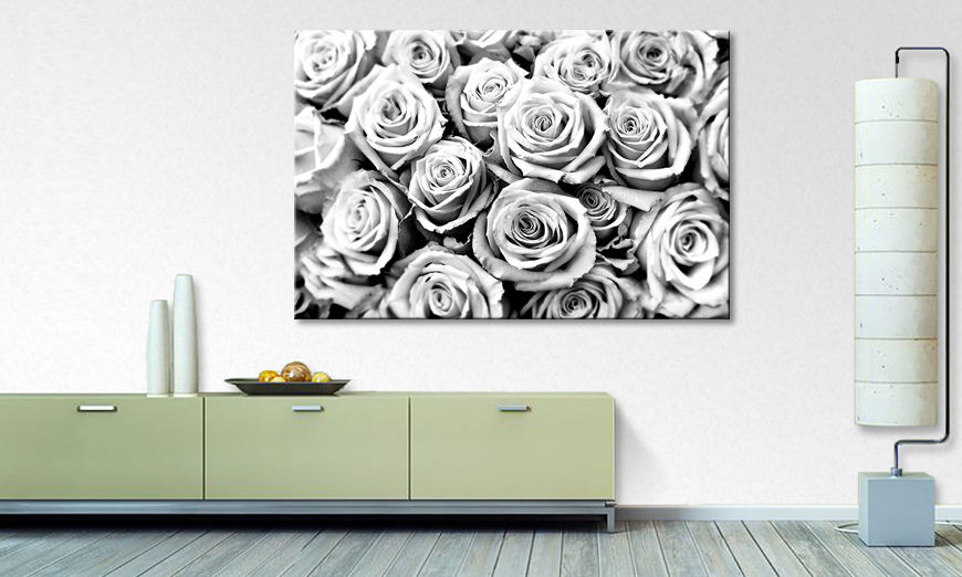 Modern wall decor Creamy Roses