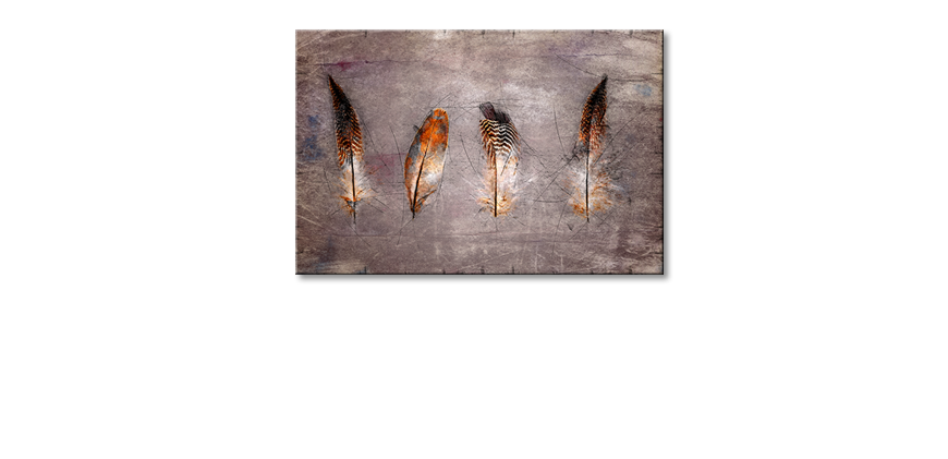Modern-wall-decor-Four-Feathers