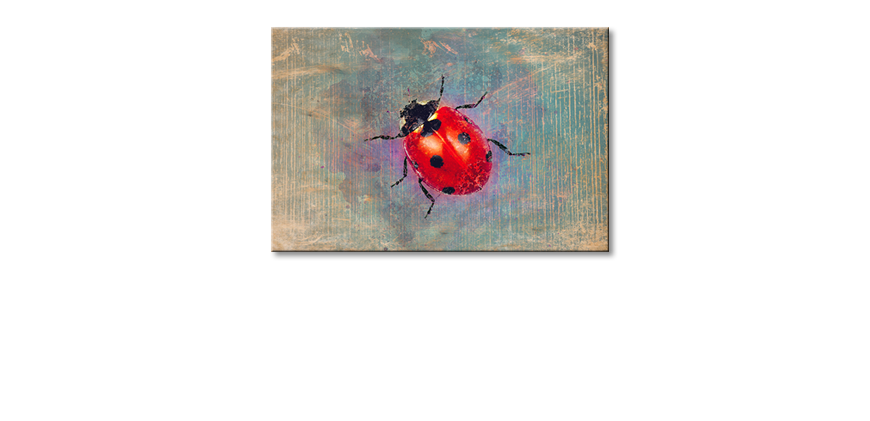 Modern-wall-decor-Ladybug