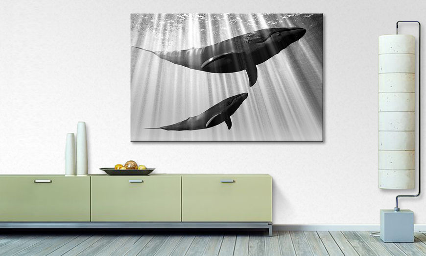 Modern wall decor Whales