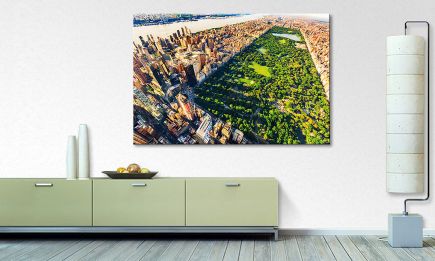 The exclusive painting Central Park