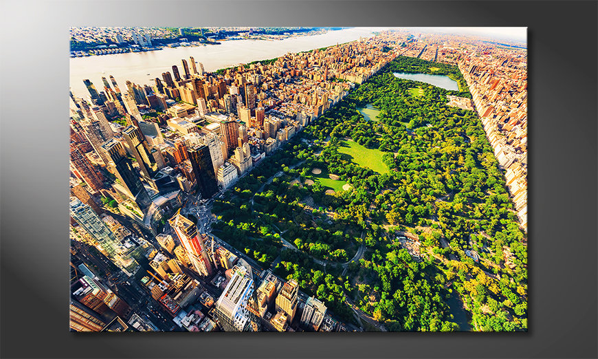 The exclusive painting Central Park