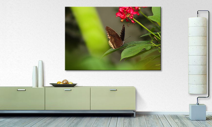 The modern art print Brown Butterfly