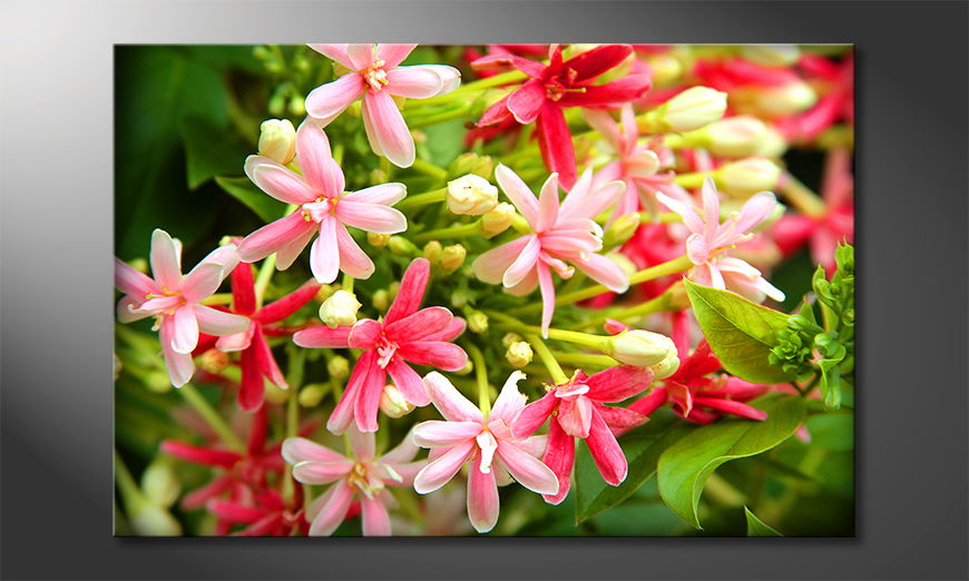 The wall hanging Pink Moment