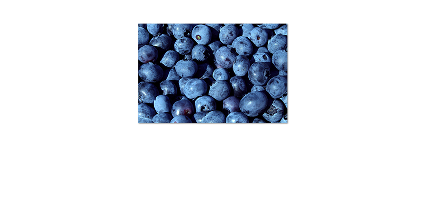 Poster-Blueberry