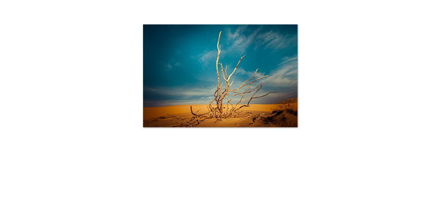 Poster-Desert-Landscape