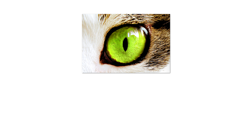 Poster-Green-Eyes