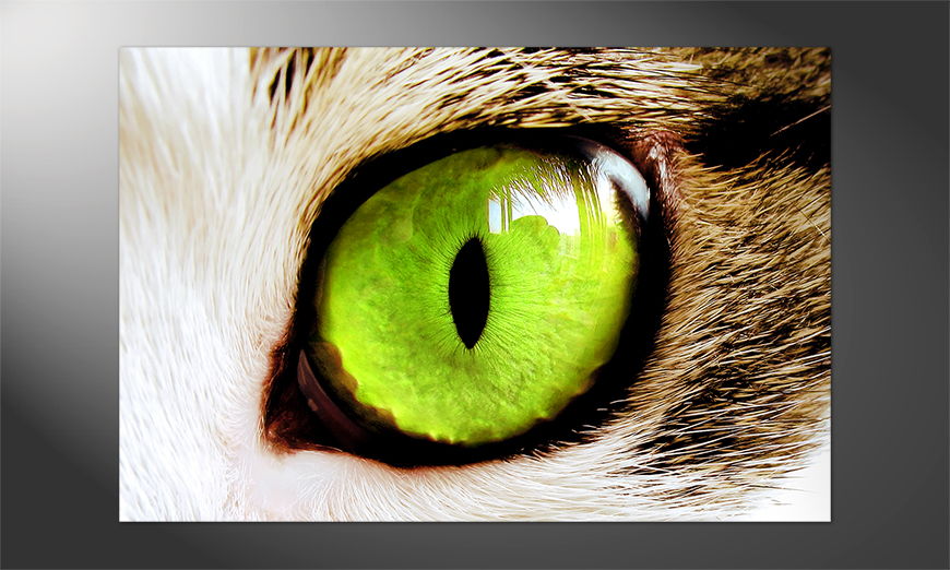 Poster-Green-Eyes