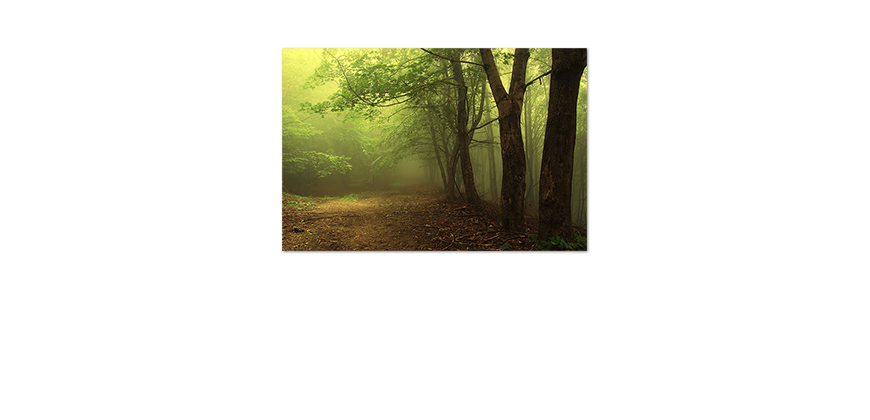 Poster-Green-Forest