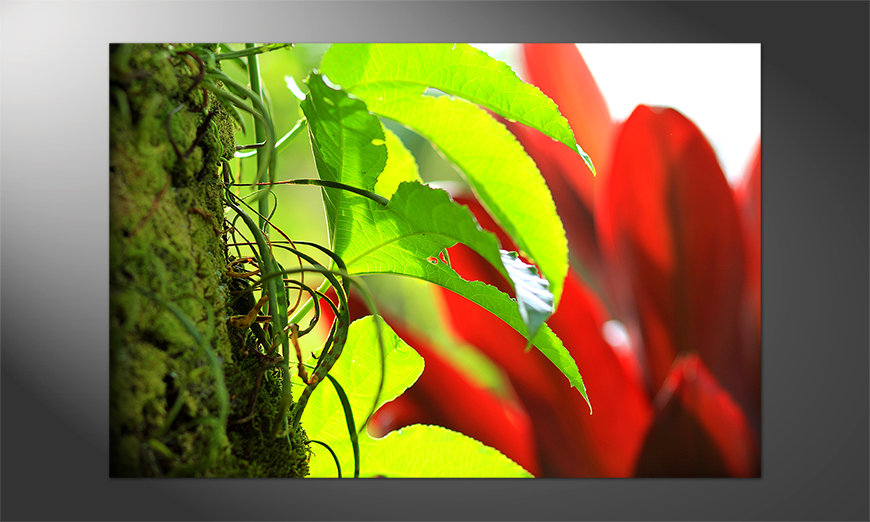 Poster-Red-Green-Nature
