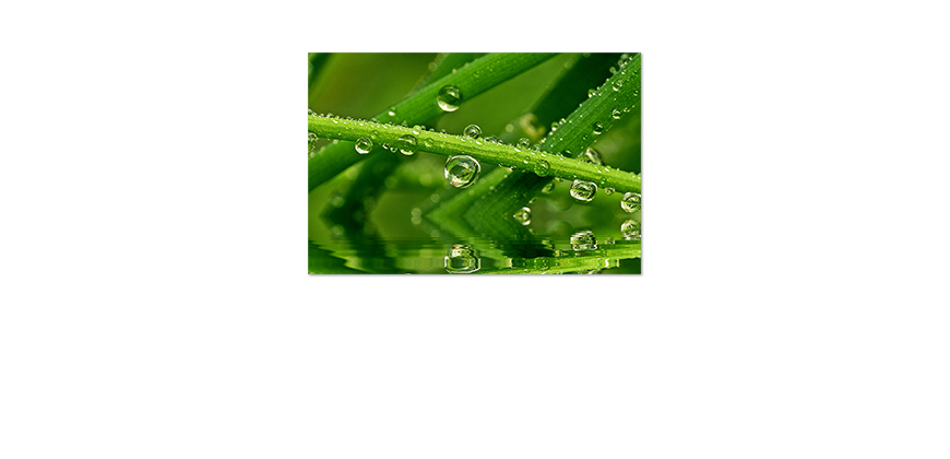 Poster-Waterdrops