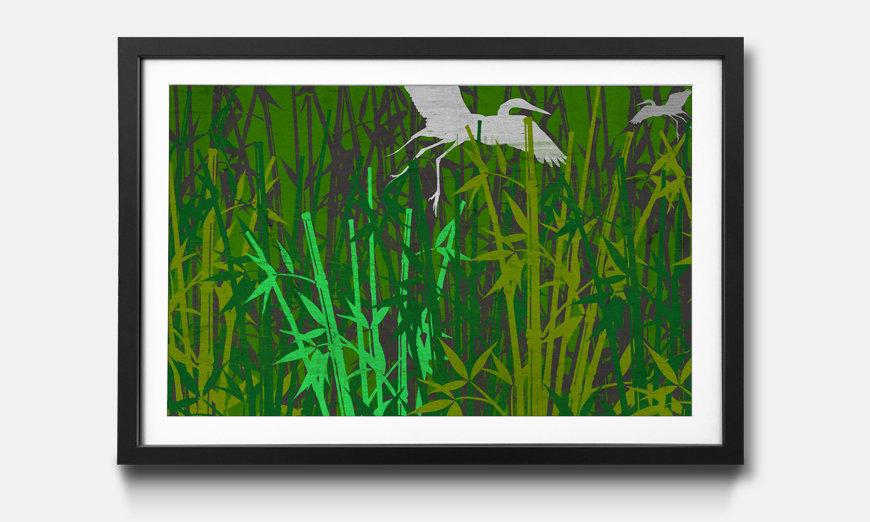 Framed art print Bambus