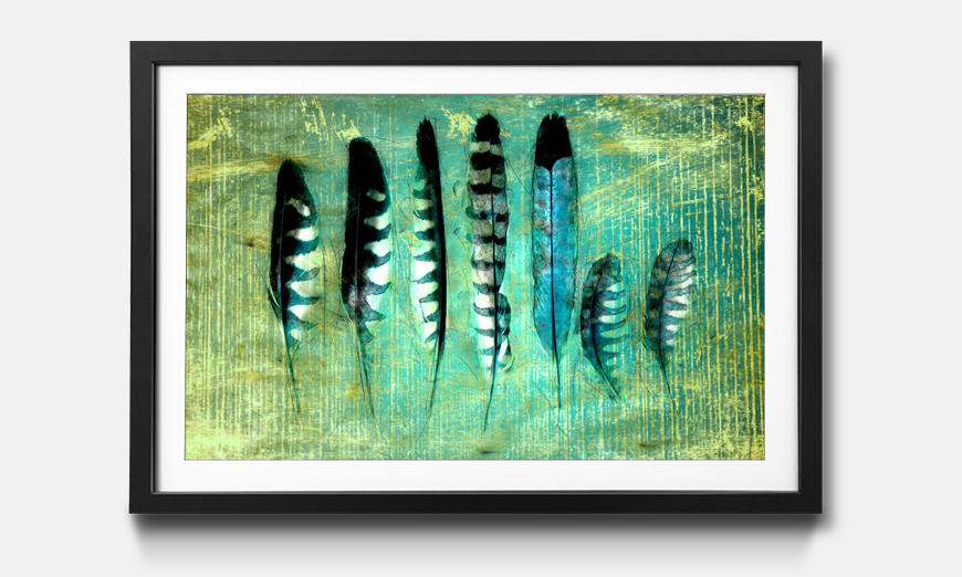 Framed art print Blue Feathers