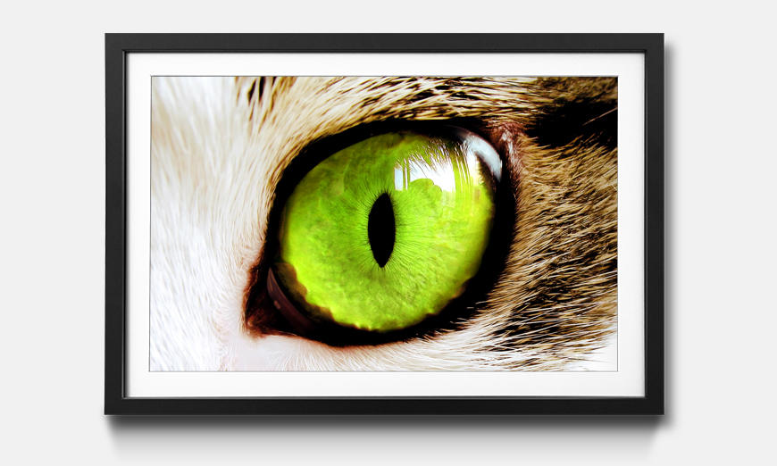 Framed art print Cats Eye Green