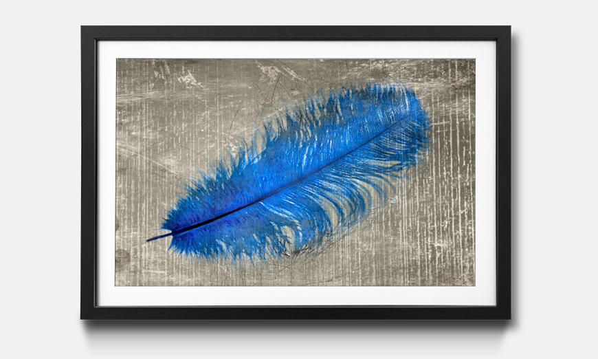 Framed art print Feather In Blue