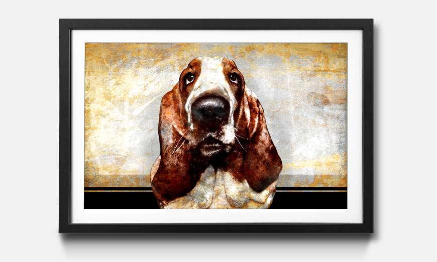 Framed art print Old Dog