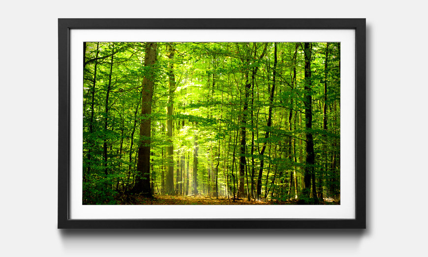 Framed picture Into The Forest