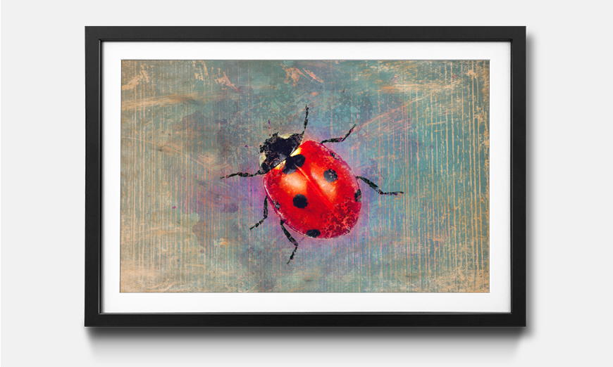 Framed wall art Ladybug