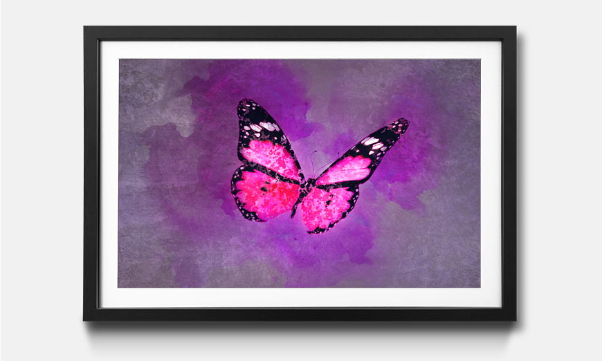The framed art print Belle In Pink