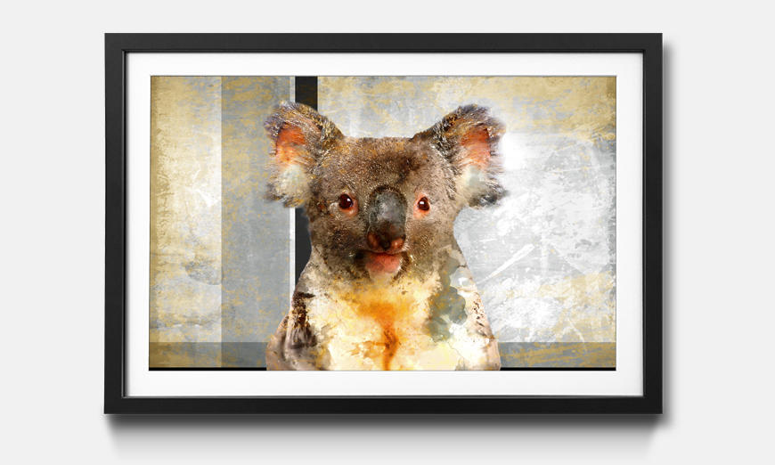 The framed art print Chill Koala
