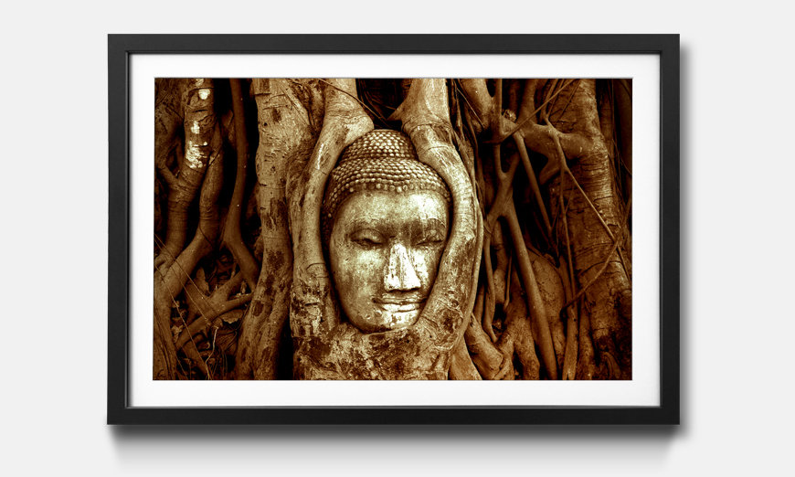 The framed art print Deep Rooted