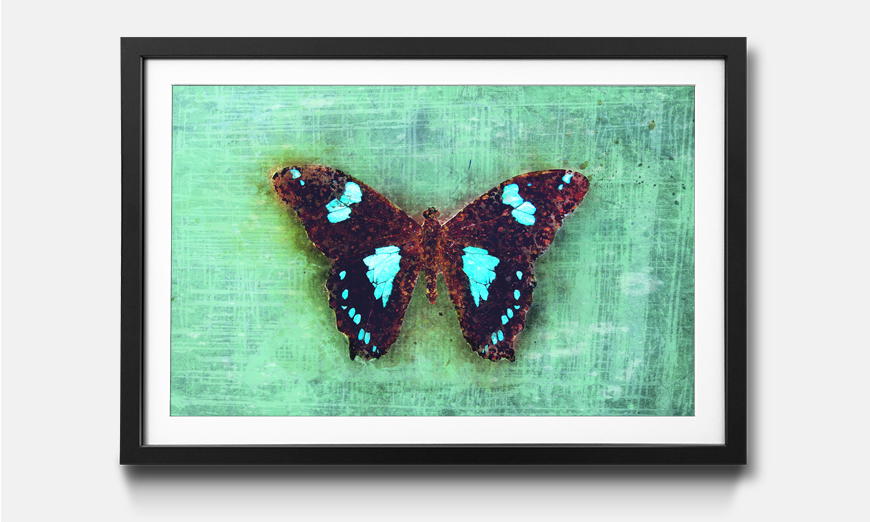 The framed art print Gloomy Butterfly